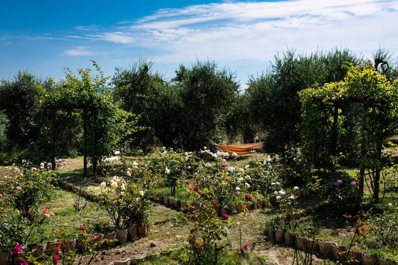 Orvieto Rocca Fiorita Otel Dış mekan fotoğraf